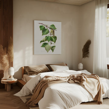 Birch Leaves and Catkins | Canvas - Room Interior 2