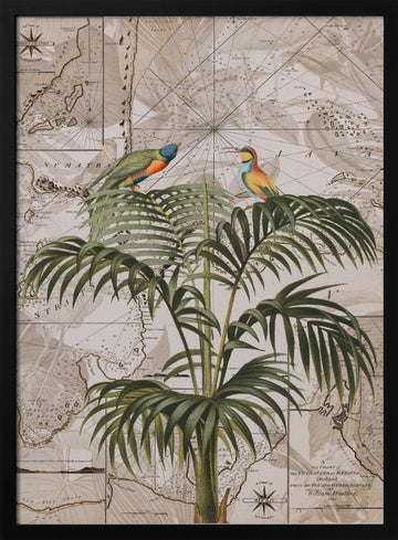 Tropical Birds Vintage Map | Poster - Black Metal Frame Interior