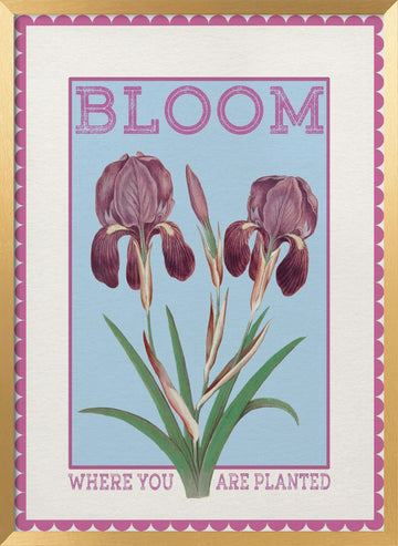Purple Irises Bloom Quote | Poster - Gold Frame Interior