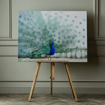 Vibrant Peacock Display | Canvas - Room Interior 1
