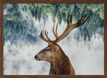 The Deer and the woods | Poster - Walnut Frame Interior