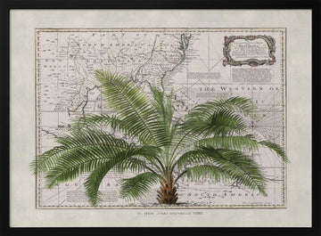 Vintage Map Palm Tree | Poster - Black Metal Frame Interior