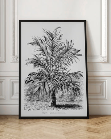 Vintage Palm Tree Drawing Ix | Poster - Room Interior 1