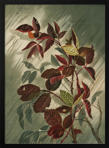 Autumn Leaves In the Rain | Poster - Black Metal Frame Interior