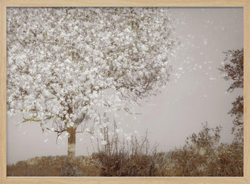 Fruit tree | Poster - Wood Frame Interior