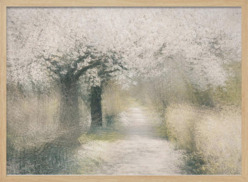Cherry blossom | Poster - Wood Frame Interior