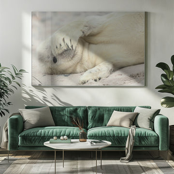 Shy Baby Seal | Poster - Room Interior 1