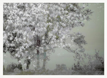 Spring | Poster - White Frame Interior