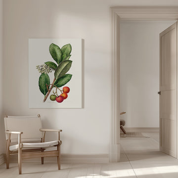Vintage Strawberry Tree | Canvas - Room Interior 1
