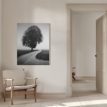 Foggy Path Lone Tree | Canvas - Room Interior 1
