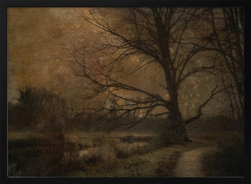Old tree | Poster - Black Metal Frame Interior