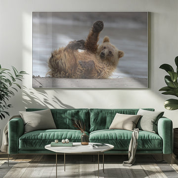 Playful Grizzly Cub | Poster - Room Interior 1