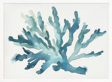 Turqoiuse Coral | Poster - White Frame Interior