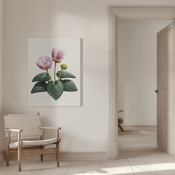 Elegant Pink Botanical Flowers | Canvas - Room Interior 1