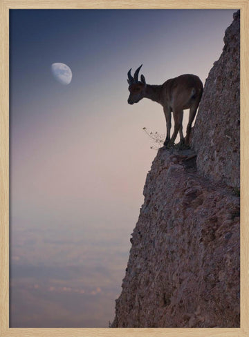 Mountain Goat Moonrise | Poster - Wood Frame Interior