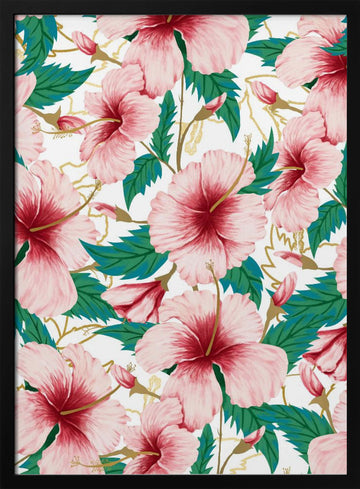 Tropical Pink Hibiscus | Poster - Black Metal Frame Interior