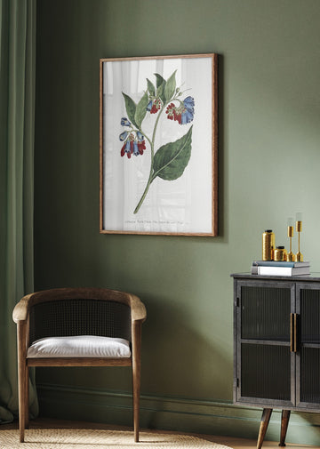Symphyum Asperrim 1806   Flower Garden Displayed By Francis Sansom | Poster - Room Interior 2