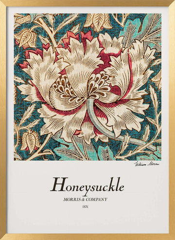 Honeysuckle | Poster - Gold Frame Interior