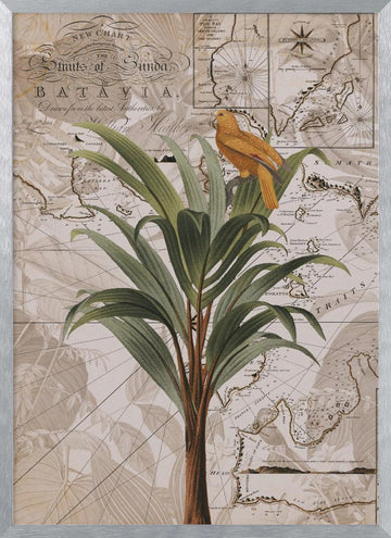Tropical Map Bird | Poster - Silver Frame Interior