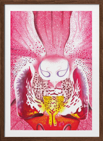 Vibrant Orchid Bloom | Poster - Walnut Frame Interior