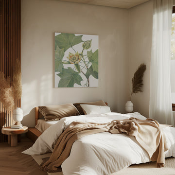 Tulip Tree From North American Wildflowers (1925) By Mary Vaux Walcott. | Canvas - Room Interior 2