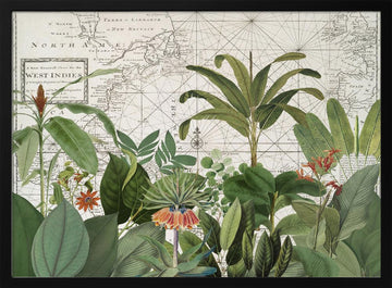 Tropical Map Explorations | Poster - Black Metal Frame Interior