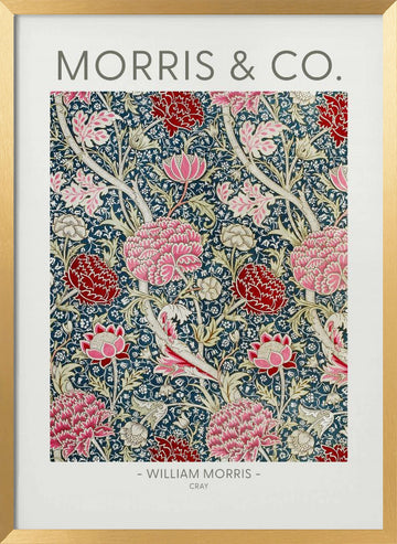 Cray | Poster - Gold Frame Interior