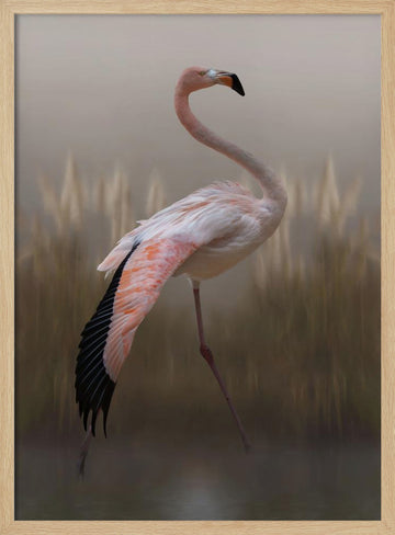 Graceful Flamingo | Poster - Wood Frame Interior