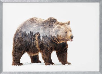 Forest Bear Spirit | Poster - Silver Frame Interior