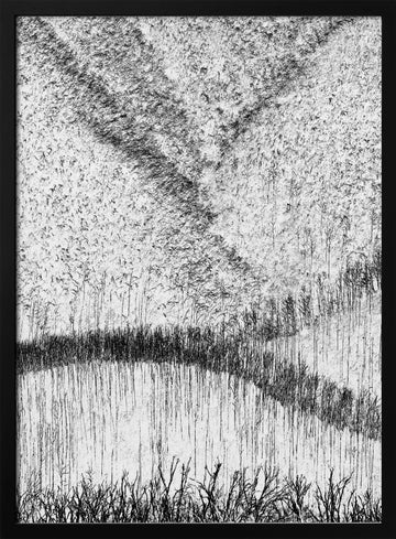 Tranquil Reed Reflections | Poster - Black Metal Frame Interior