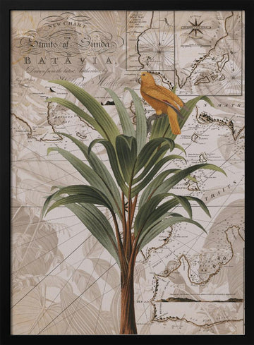 Tropical Map Bird | Poster - Black Metal Frame Interior