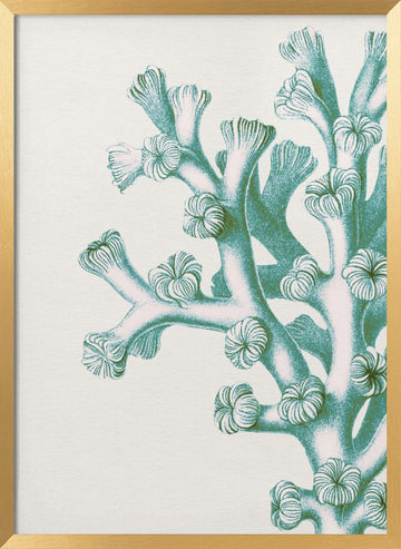 Serene Teal Coral | Poster - Gold Frame Interior