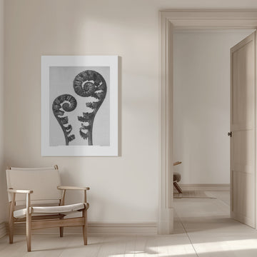 Aspidium Filix Mas | Canvas - Room Interior 1