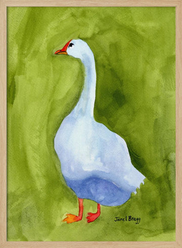 Elegant White Goose | Poster - Wood Frame Interior