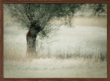 Willow | Poster - Walnut Frame Interior