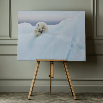 Sleeping Polar Bear Cub | Canvas - Room Interior 1