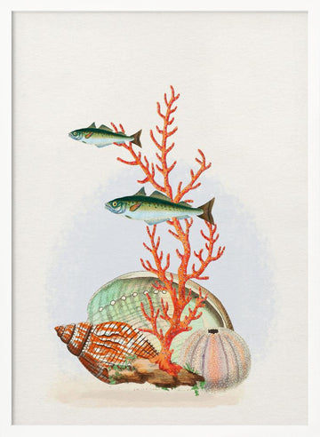 Marine Life Collection | Poster - White Frame Interior