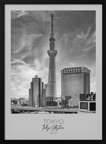 Tokyo Skytree Cityscape | Poster - Black Metal Frame Interior