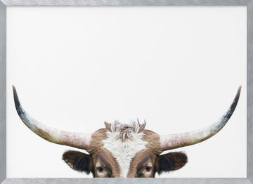 Peeking Longhorn Cow | Poster - Silver Frame Interior
