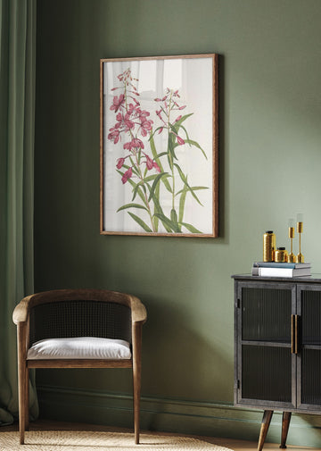 Fireweed From North American Wildflowers (1925) By Mary Vaux Walcott. | Poster - Room Interior 2