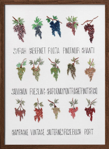 Wine Grape Varieties | Poster - Walnut Frame Interior