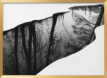 Winter Tree Reflection | Poster - Gold Frame Interior