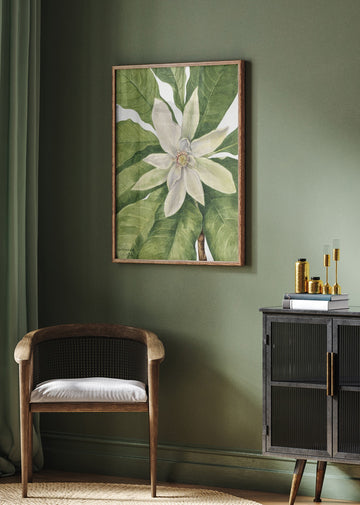 Umbrella Tree (1932) | Poster - Room Interior 2