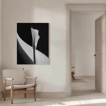 Elegant Calla Lily | Canvas - Room Interior 1