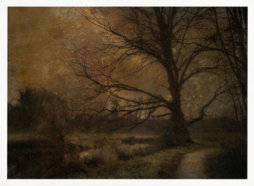 Old tree | Poster - White Frame Interior