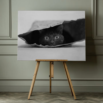 Curious Black Cat | Canvas - Room Interior 1