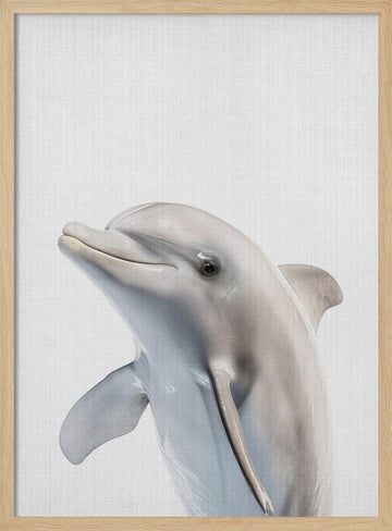 Friendly Dolphin Portrait | Poster - Wood Frame Interior