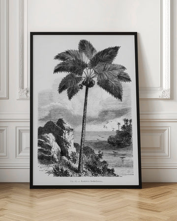 Vintage Palm Tree Drawing I | Poster - Room Interior 1