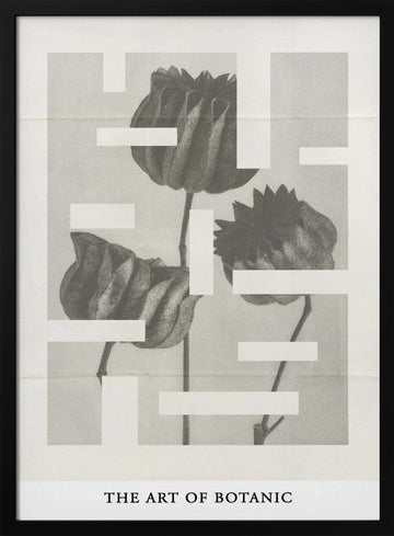 The art of botanic No.1 | Poster - Black Metal Frame Interior