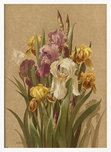 Fleur De Lis, No. 3 | Poster - White Frame Interior